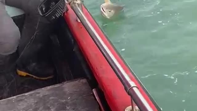 FISHING Hong Kong