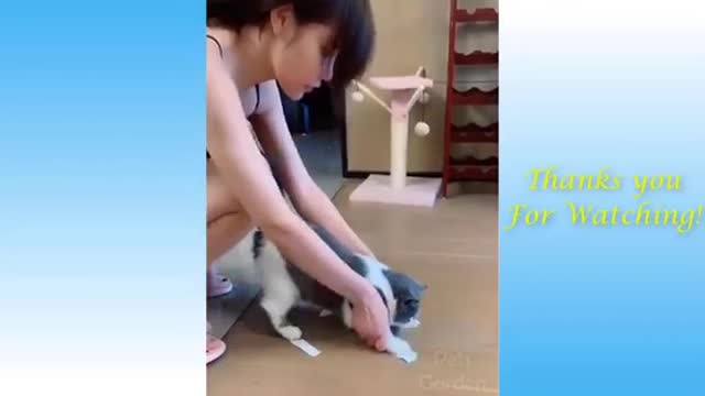 Cute Pets And Funny Animals#2