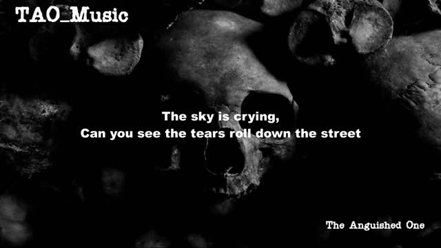 Stevie Ray Vaughun The Sky Is Crying with Lyrics