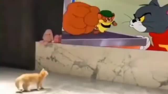 The cartoon scared the kitten ....)))