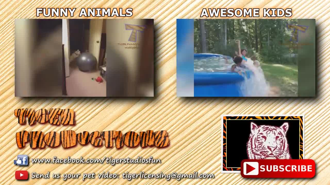 Try to stop laughing on this