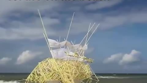 Amazing Wind powered animals and kites to move