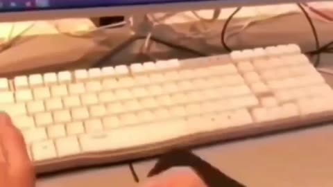 Enter Lol🤣