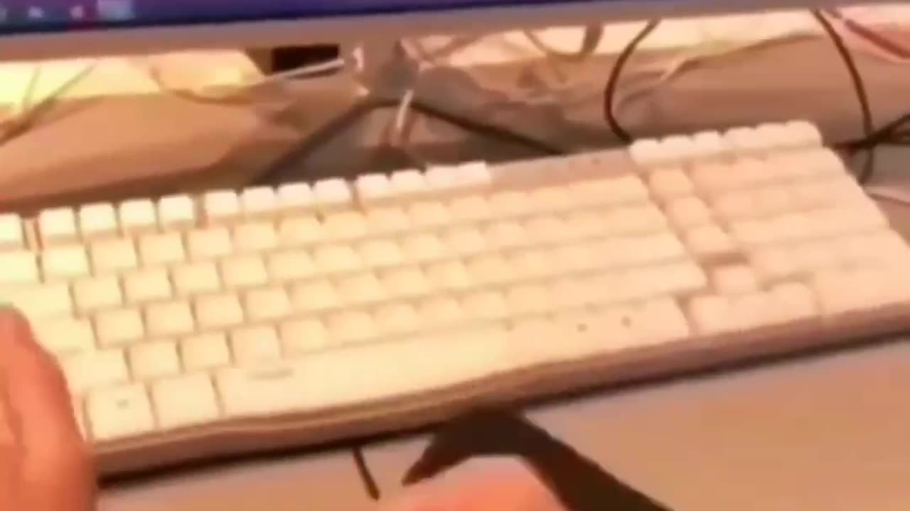 Enter Lol🤣