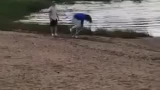 Dizzy bat blue sweater woman falls into lake