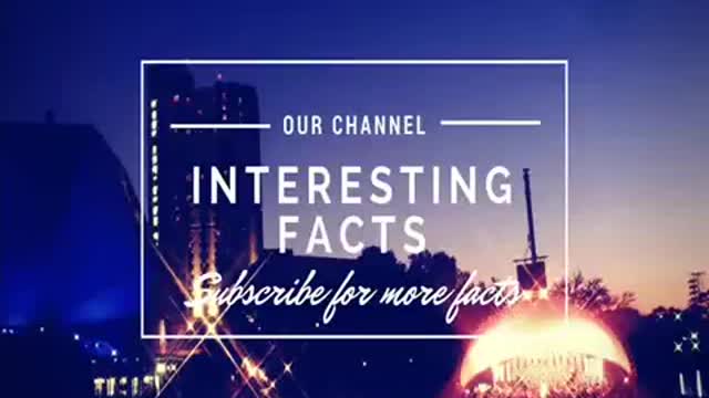Interesting facts