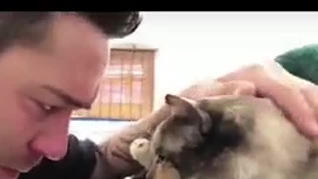 A cat goodbye to his owner before dying