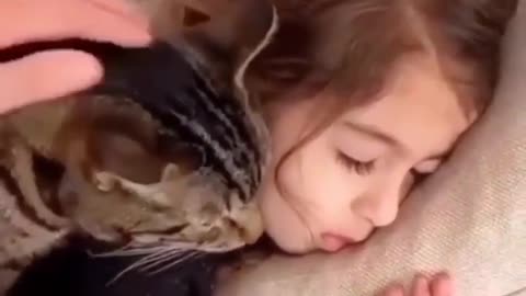 OMG 😱 cute cat 😱😘😘