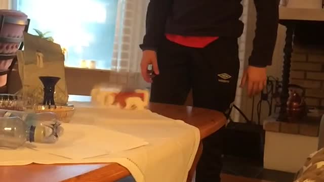 Boy in black flips carton hits dog on head