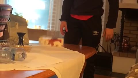 Boy in black flips carton hits dog on head