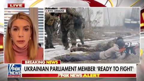 Ukrainian MP Kira Rudyk - "we fight for this New World Order"?...