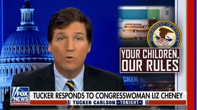 Tucker Carlson hits back at Liz Cheney, other critics of his documentary Patriot Purge