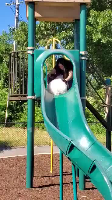 Dog goes down slide with his Mom