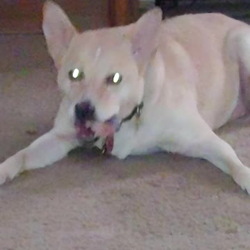 Enjoying Beaver Tail