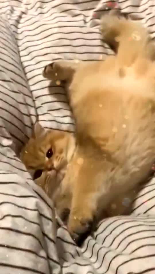 Walking makes her sleepy