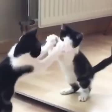 sooo funny 🤣🤣🤣