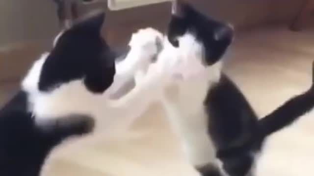 sooo funny 🤣🤣🤣