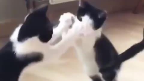 sooo funny 🤣🤣🤣