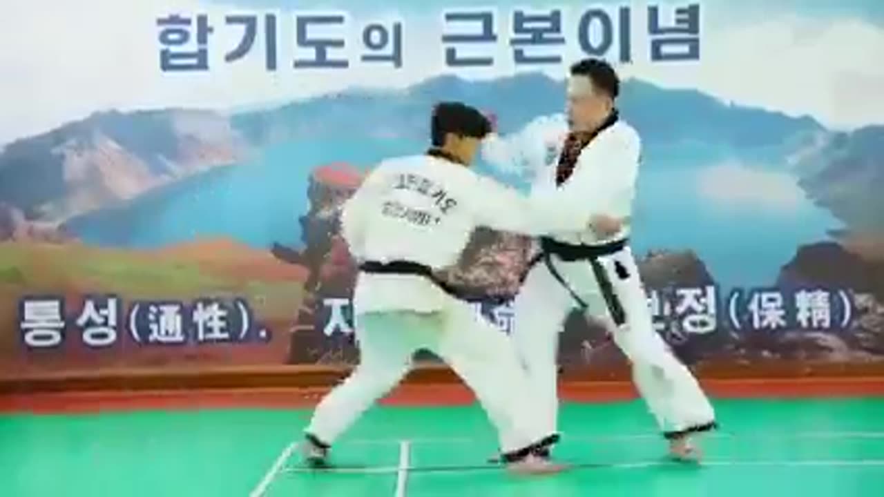 Hapkido