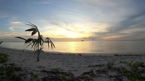 Sunset Saipan Island, Tropical Island Beach 4K