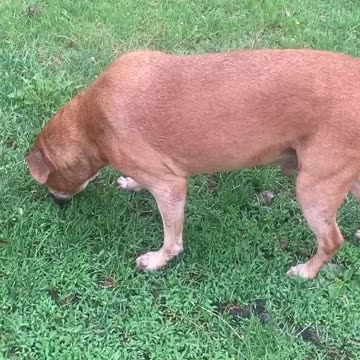 This was my birthday in May. All I can say is silence is golden faqu people