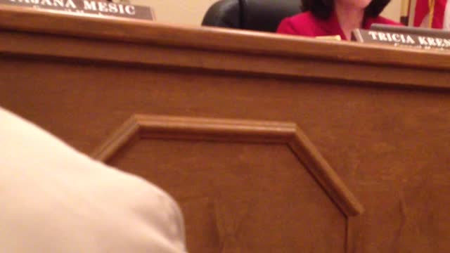 Fulshear City Council Meeting 12/15/2015, HOME RULE CHARTER CONTROVERSY II.