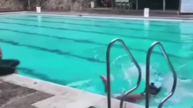 Try Not To Laugh - Diving Gone Wrong