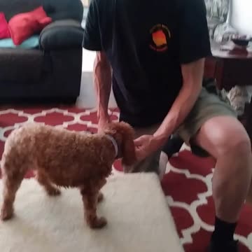 Always going to be distractions around