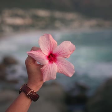 Person Holding a Flower at the Shore