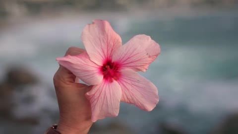 Person Holding a Flower at the Shore