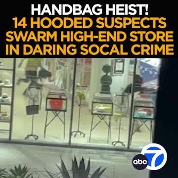 Handbag Heist!
