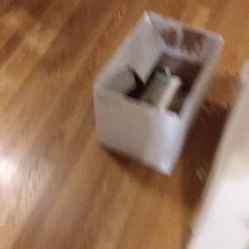 Chihuahua gets excited when owner comes home, then licks the dishwasher XD