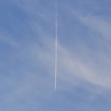 Not contrails