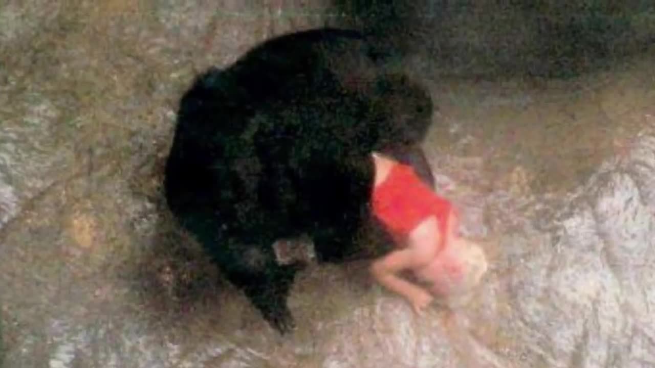 Ten ANIMALS that saved PEOPLE'S LIVES