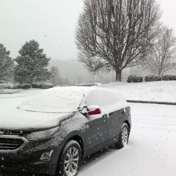 Snowfall update 12:30PM Export PA 12/16/2020