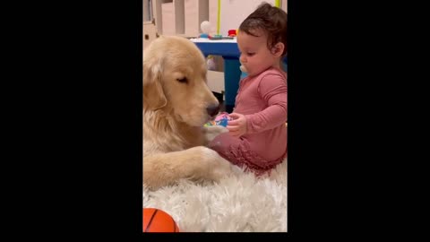 So much love in this video between a Labrador and this baby girl 😍😍