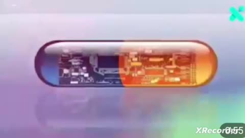 몸은 양자컴퓨터의 인터페이스가 돤다
