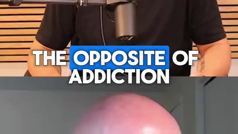 The antidote to addiction might surprise you...