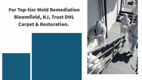 Mold Remediation Bloomfield NJ