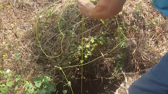 Saving a Puppy from a Deep Pit