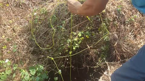 Saving a Puppy from a Deep Pit