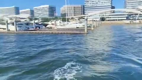 go to sea