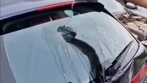 Breaking car glass with energy drink