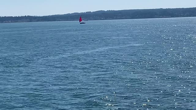 Over the Water on the Washington State Ferry Spokane-watching a sailboat