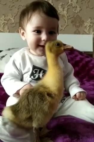 Baby playing with bird