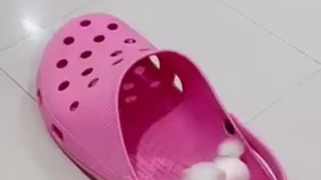 Cute baby dog funny video viral
