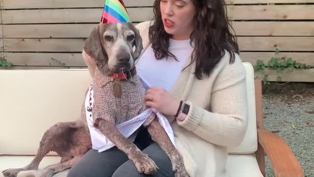 saving the sickened dog