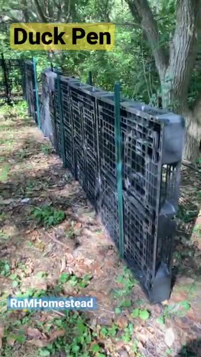 New Duck Pen on the Homestead