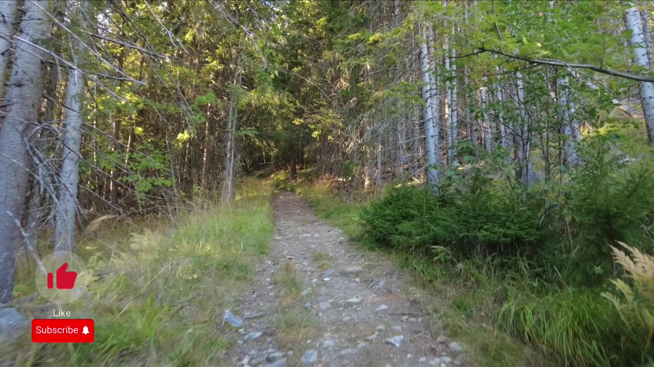 WALKTHROUGH FJORDS OF #NORWAY #LILLEHAMMER #MOUNTAINS - NO TALKING - NO MUSIC - 4K NATURE PART 1