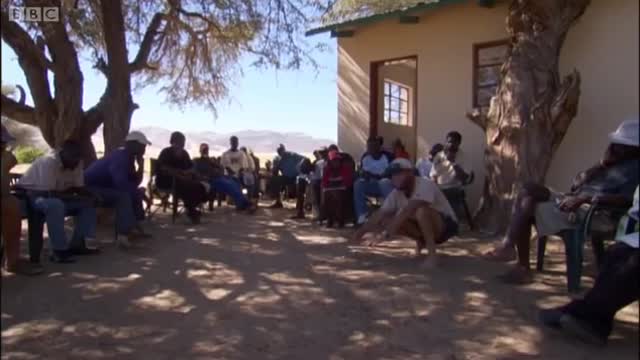 Lions Hunting Donkeys | BBC Earth